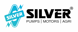 silver-pumps